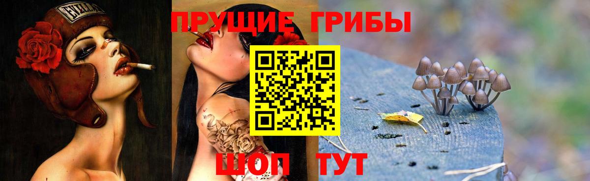Галлюциногенные грибы Cubensis  Вход с VPN  Чистополь 